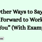 Other Ways to Say “I Look Forward to Working With You” (With Examples)
