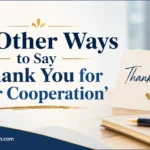 Other Ways to Say ‘Thank You for Your Cooperation’