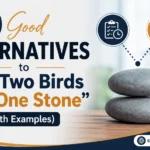 Good Alternatives to “Kill Two Birds with One Stone”