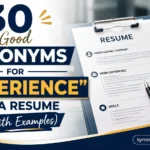 Good Synonyms for “Experience” on a Resume